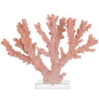 Fire Coral Sculptural Objects 1200-1083