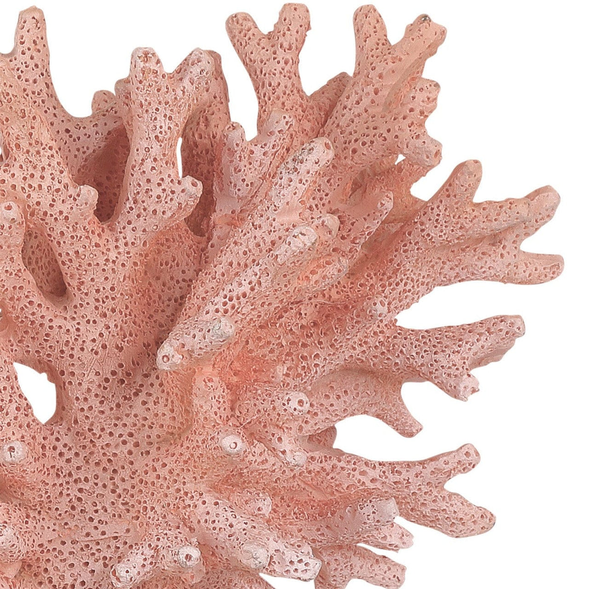 Fire Coral Sculptural Objects