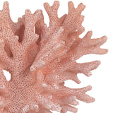 Fire Coral Sculptural Objects
