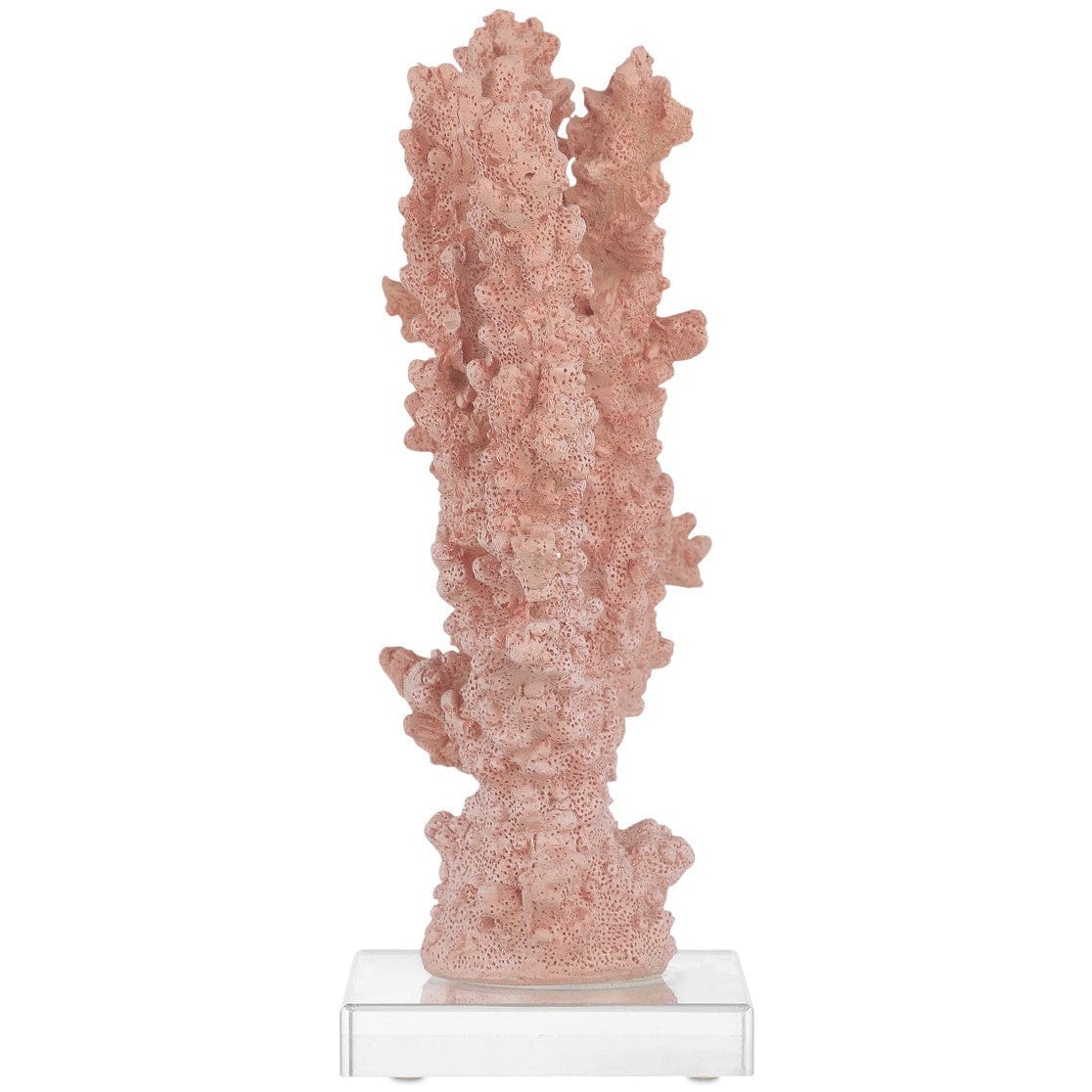 Fire Coral Sculptural Objects