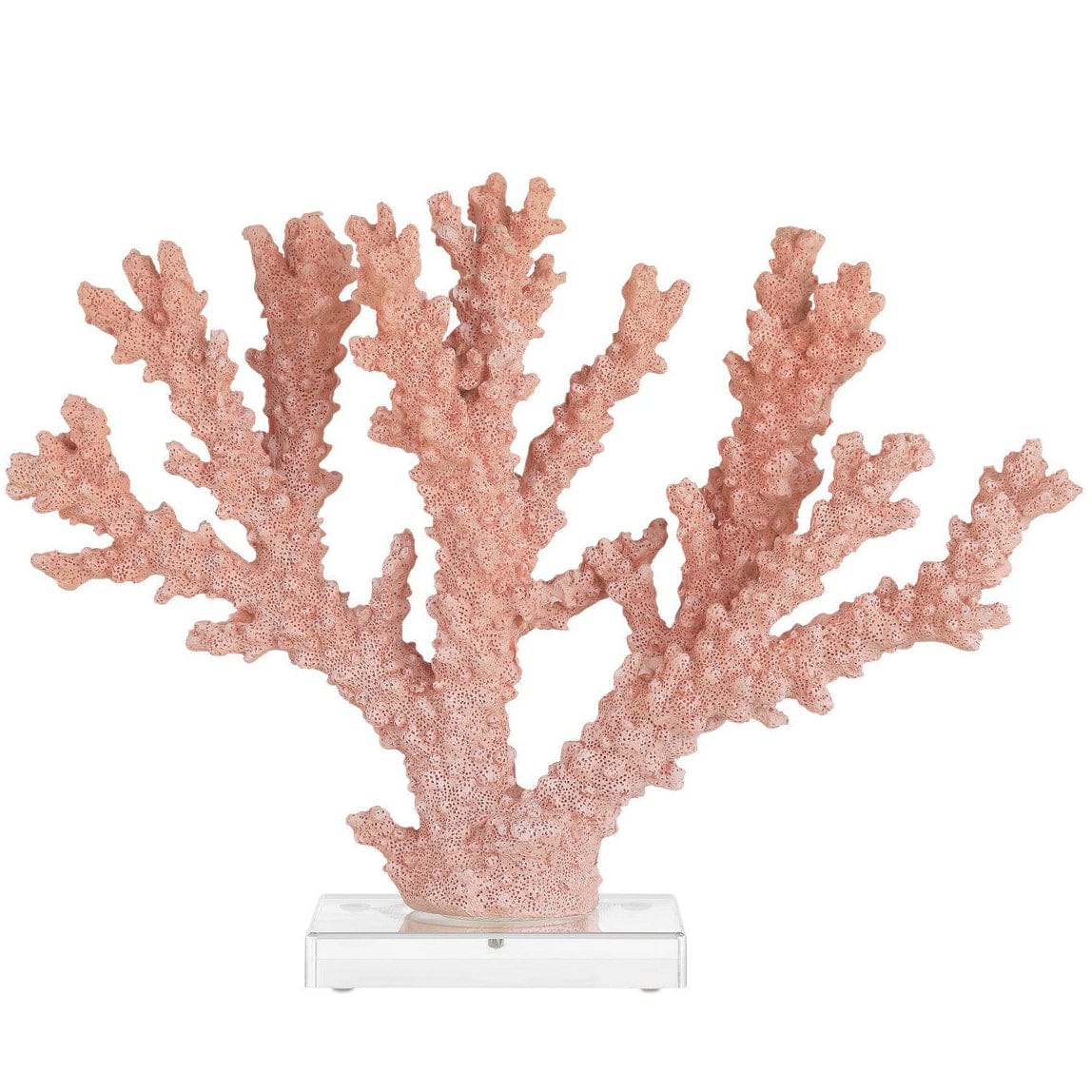 Fire Coral Sculptural Objects