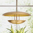 Florko Chandelier Chandeliers
