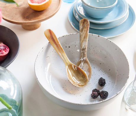 Gala 2-Piece Serving Spoon Set Serveware BP001805 08415971006845