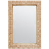 Gene Mirror Mirrors MIRGENE2838AB