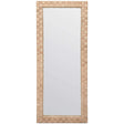 Gene Mirror Mirrors MIRGENE3072AB