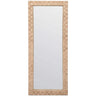 Gene Mirror Mirrors MIRGENE3072AB