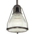 Haverhill Pendant Pendants 7315-OB