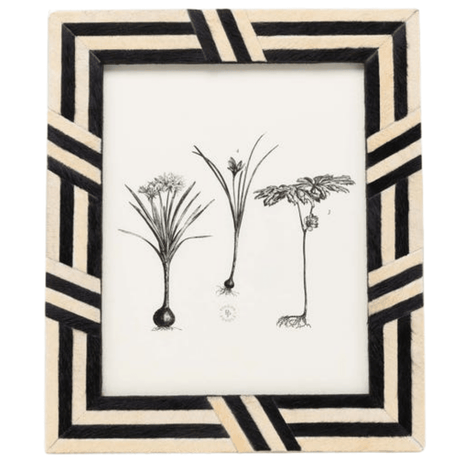 Helos Picture Frame Picture Frame 02HELO-BGBR-8X10