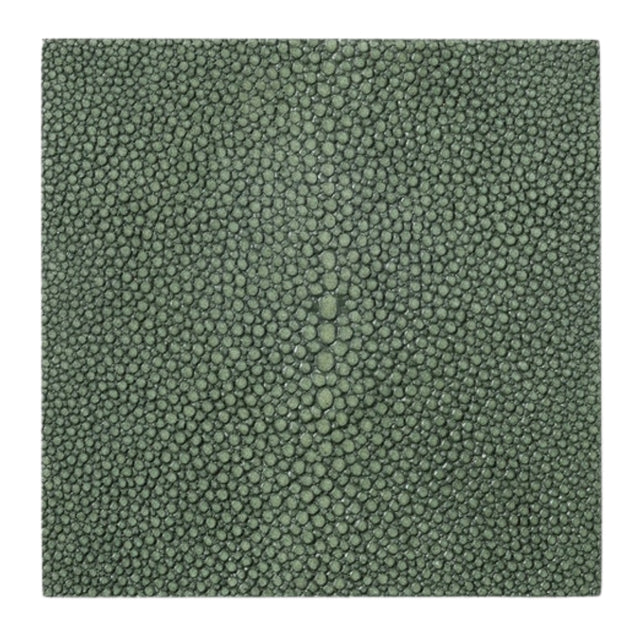 Henry Juniper Coasters (Set of 4) Coasters BP006106 08415971058264