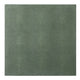 Henry Juniper Placemat (Pack of 2) Kitchen Accessory BP006066 08415971058240