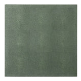 Henry Juniper Placemat (Pack of 2) Kitchen Accessory BP006066 08415971058240