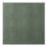 Henry Juniper Placemat (Pack of 2) Kitchen Accessory BP006066 08415971058240
