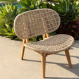 Hermosillo Indoor/Outdoor Occasional Chair Outdoor Occasional + Accent Chairs DOV10000-NATL