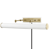 Holly Plug-In Picture Light Wall Lighting HL263203-AGB/WH 806134850197