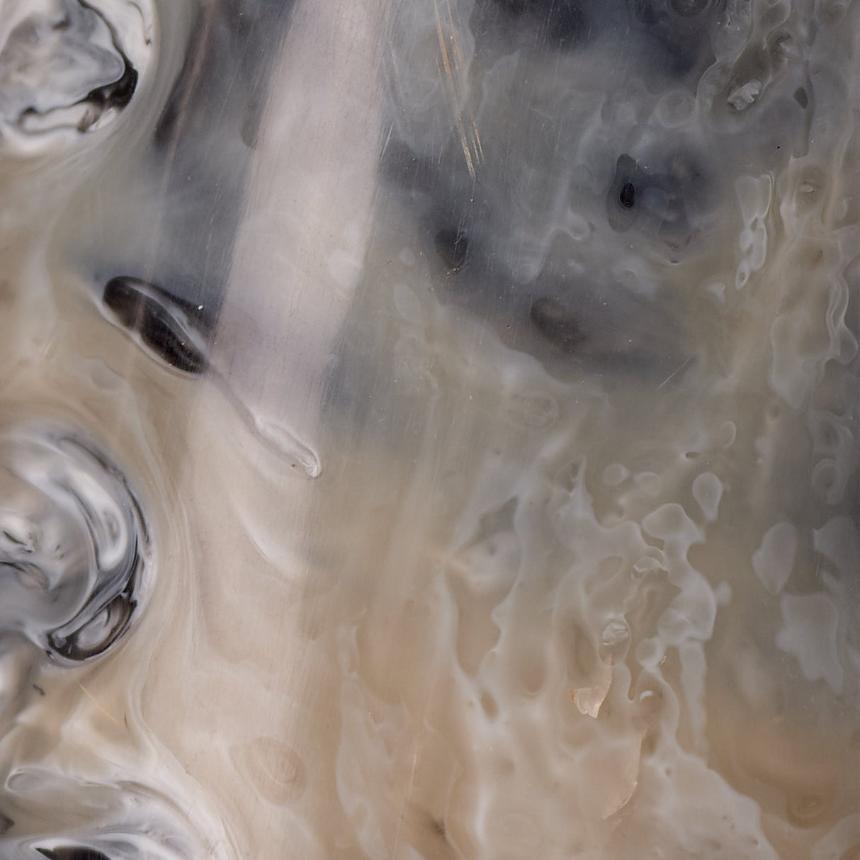 Horn Decorative Objects Decorative Object 7VARI-OBGR 688933036831