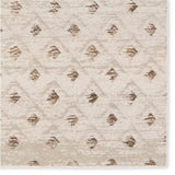 Jaipur Catalyst Carine Rug Rugs