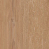 Jovian Console Table Console Table DOV16512-LTNT