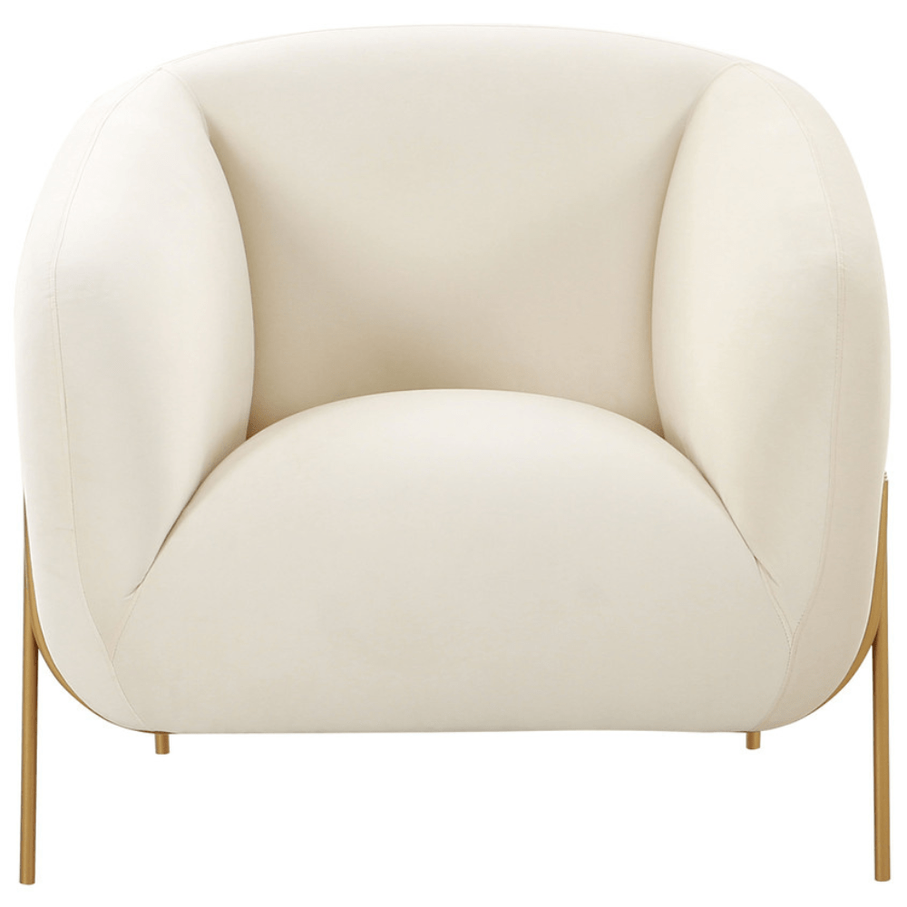 Kandra Accent Chair Accent Chair TOV-IHS68627