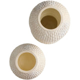 Kayli Vases (Set of 2) Vases AVS13