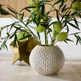 Kayli Vases (Set of 2) Vases AVS13