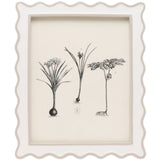 Keira Picture Frame Picture Frames 02KEIR-WHCR-8X10