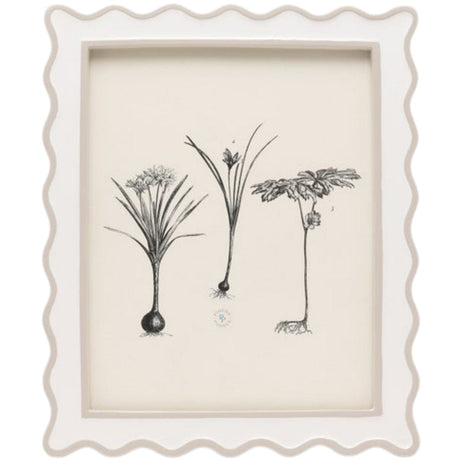 Keira Picture Frame Picture Frames 02KEIR-WHCR-8X10