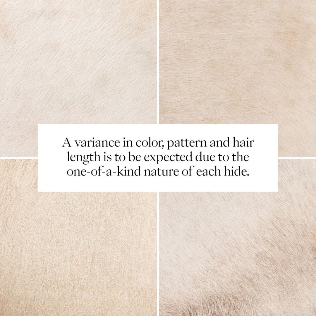 Knox Accent Bench Benches 249195-001 198394086240