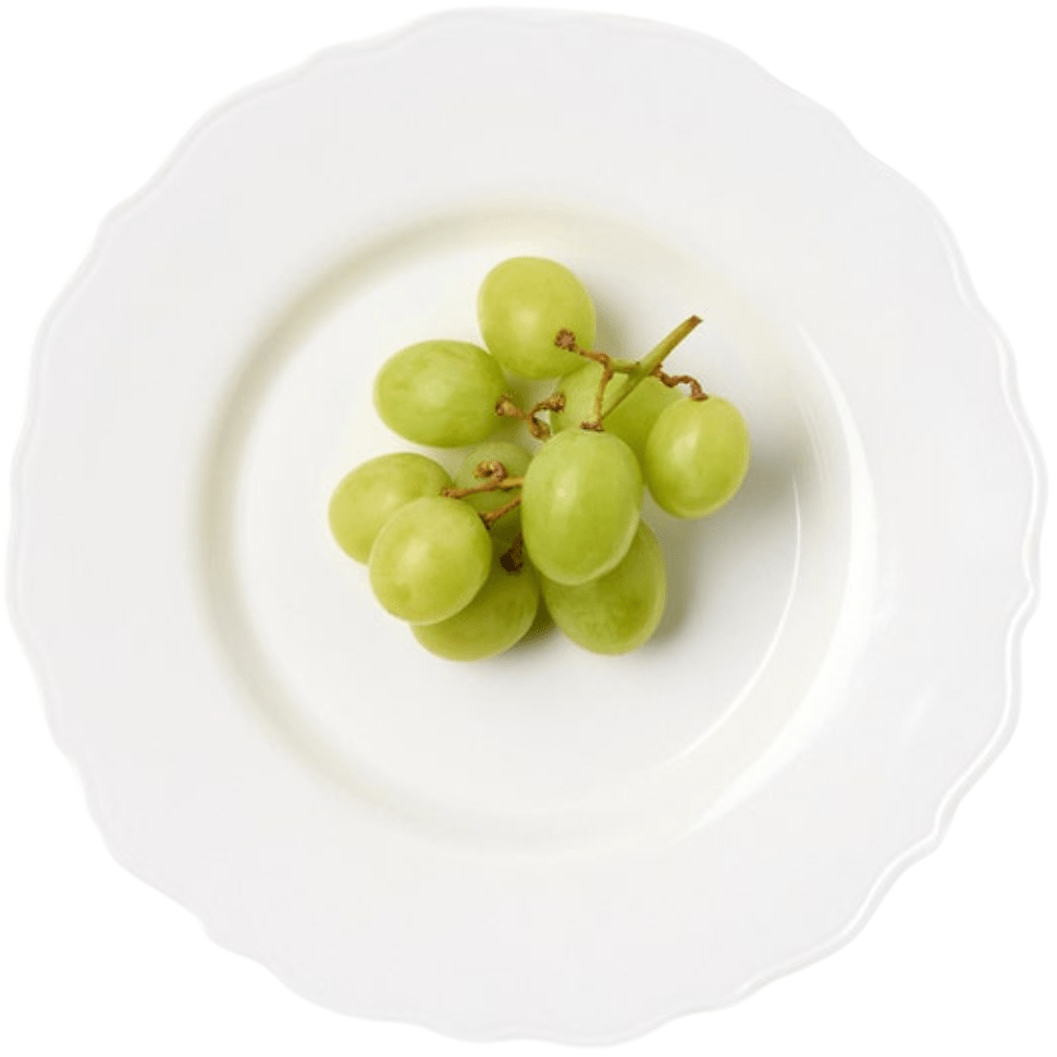 Laguna Dinnerware (Pack of 4) Dinnerware