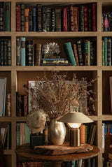 Lauren Liess Kindle Rechargeable Table Lamp Table Lamps RTL4715-PBR/SSD 197292140443