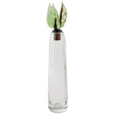 Leaf Top Bottle Decorative Objects