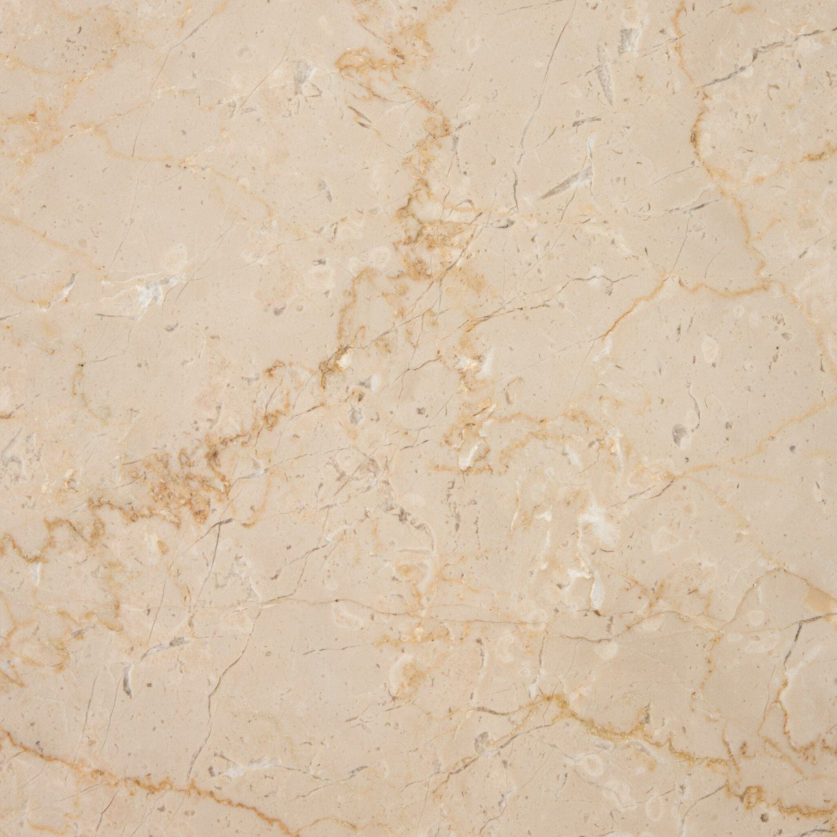 Letta Coffee Table Coffee Table 246636-002 198394082426