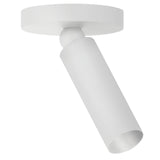 Luxe Pivot Flush Mount Flush Mounts