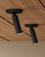 Luxe Pivot Flush Mount Flush Mounts