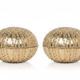 Obelia Box Set Decorative Objects OBJOBELIALGSB