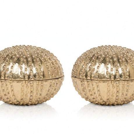 Obelia Box Set Decorative Objects OBJOBELIALGSB