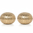 Obelia Box Set Decorative Objects OBJOBELIASMSB