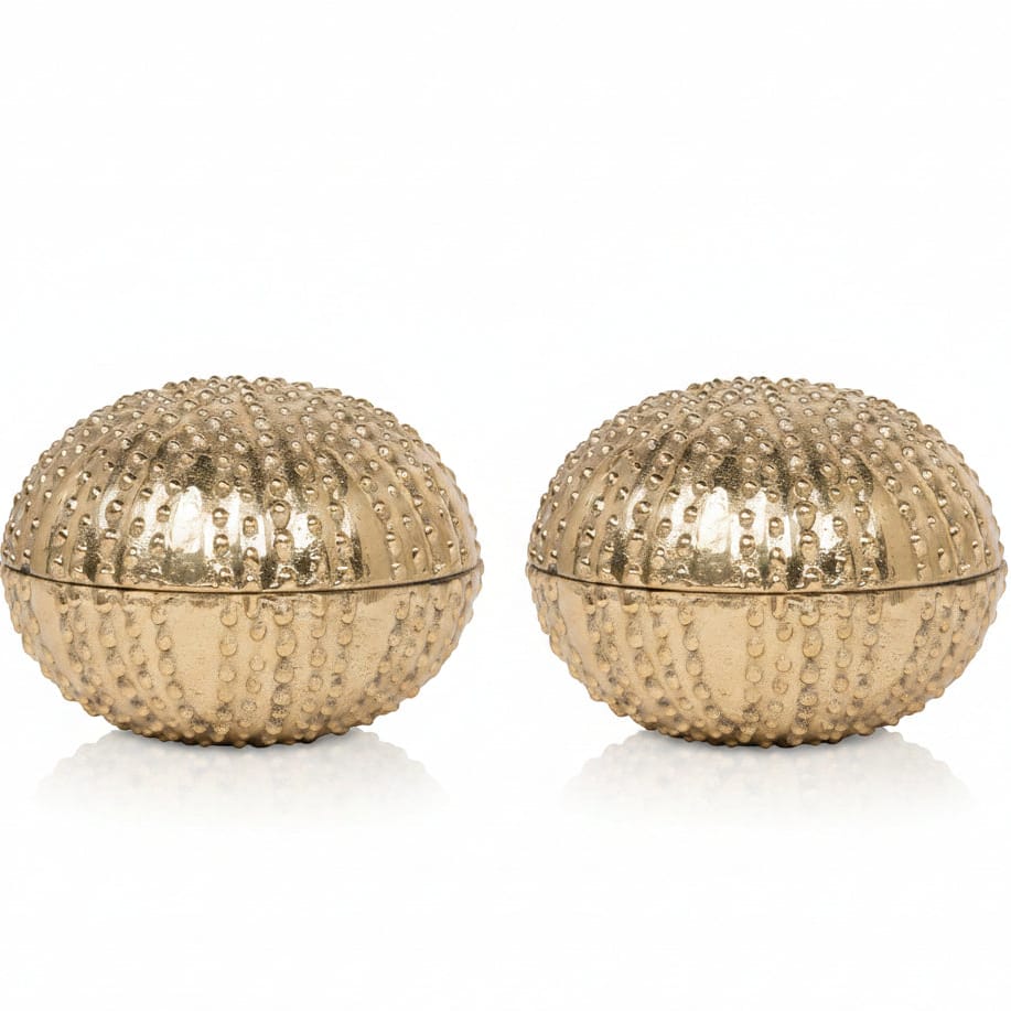 Obelia Box Set Decorative Objects OBJOBELIASMSB