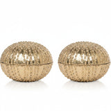 Obelia Box Set Decorative Objects OBJOBELIASMSB