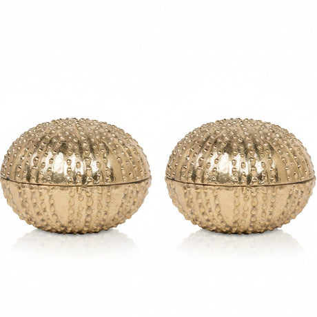 Obelia Box Set Decorative Objects OBJOBELIASMSB
