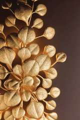 Menorca Wall Sconce Wall Sconces 499-06-VGL 197292122487