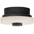 Moers Mini Flush Mount Flush Mounts DFC28