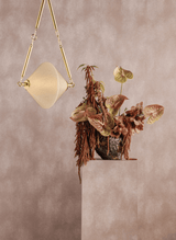 Moniomi Solara Pendant Pendants 555-17-VPB 197292152699