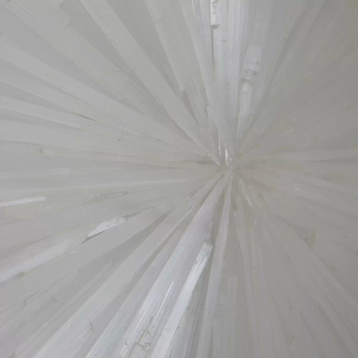 Neptune Sconce Sconces