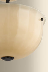 Nevins Semi Flush Flush Mounts