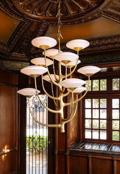Noz Nozawa Pluro Chandelier Chandeliers