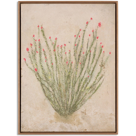 Ocotillo by Paul Meyer Mixed Media 253705-001 198394321365