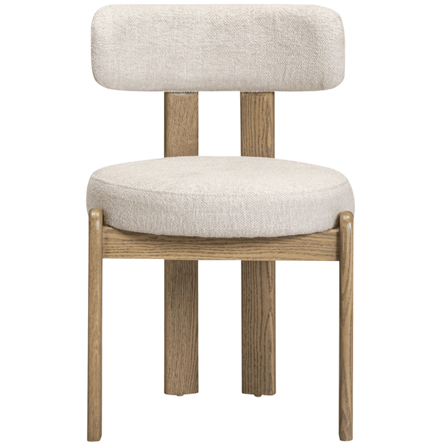 Odetta Dining Chair Dining Chairs + Benches TOV-D54785 793580649072