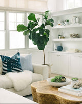 Page Coffee Table Coffee Tables