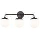 Paige Vanity Sconce Wall Lighting H193303-OB 806134846831