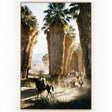 Palm Springs Riders by Slim Aarons Art 236277-003 801542078478